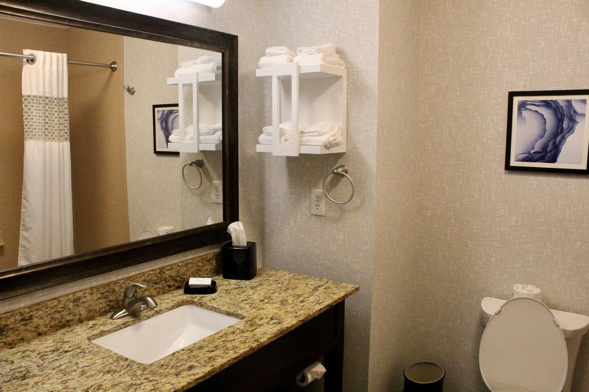 Hampton Indianapolis Nw/zionsville Hotel 3*